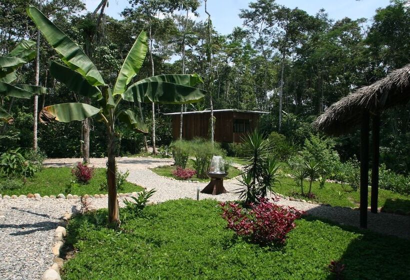 هتل Hamadryade Lodge