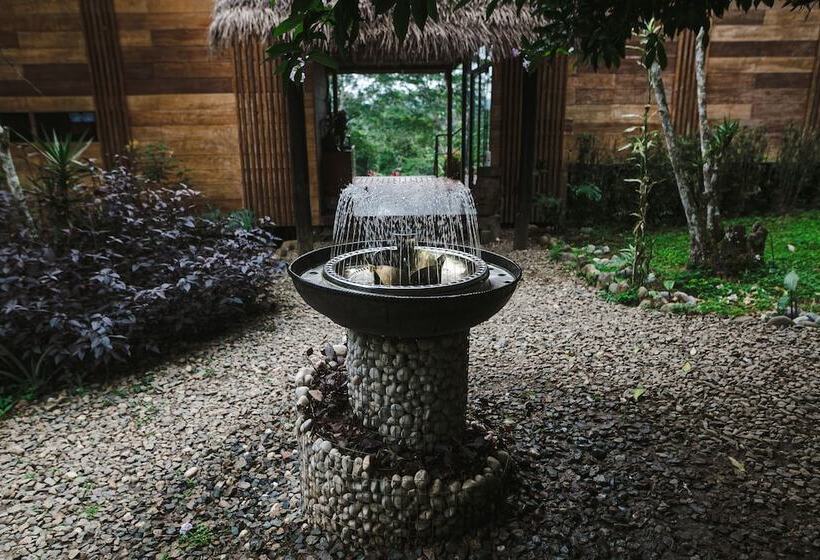 هتل Hamadryade Lodge