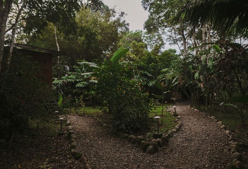 هتل Hamadryade Lodge