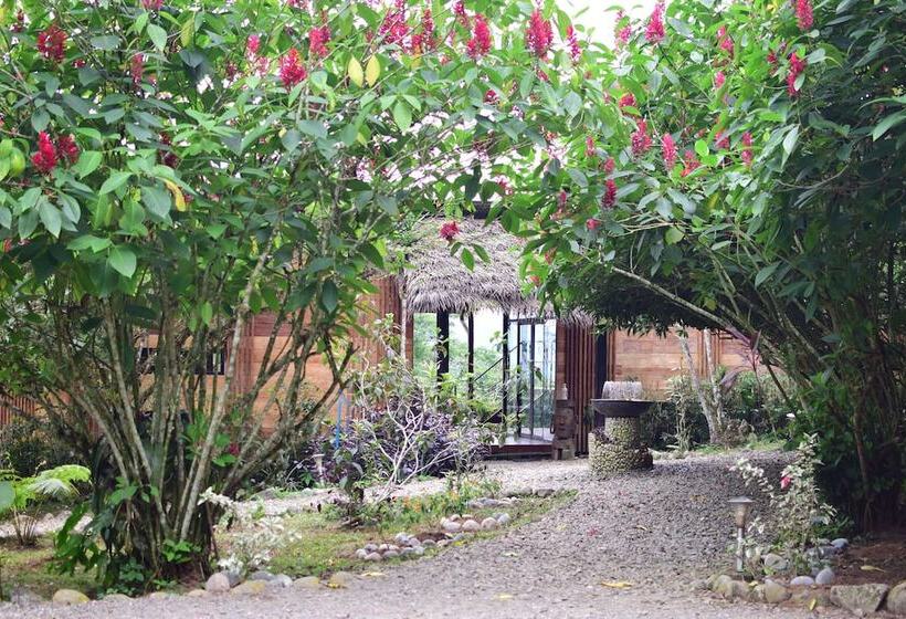 هتل Hamadryade Lodge