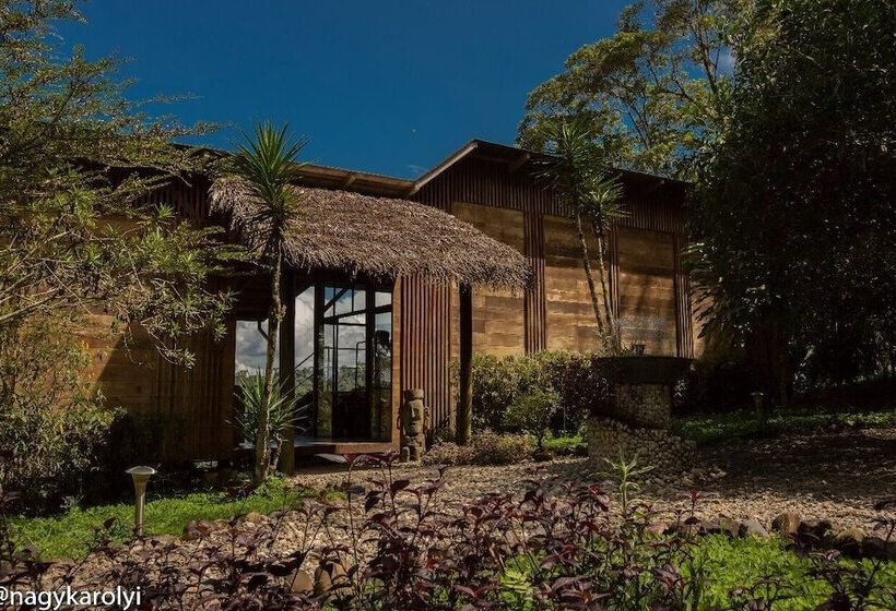 هتل Hamadryade Lodge