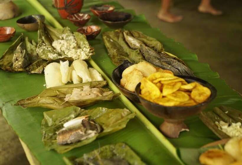 هتل Hamadryade Lodge