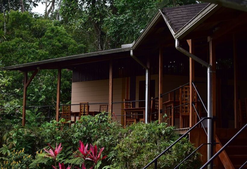 هتل Hamadryade Lodge