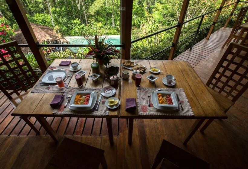 هتل Hamadryade Lodge