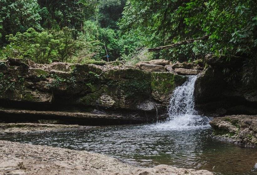 هتل Hamadryade Lodge