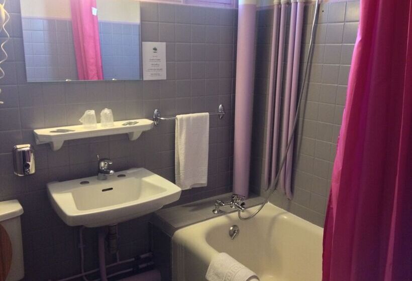 בית מלון כפרי Hôtel Des Alliés