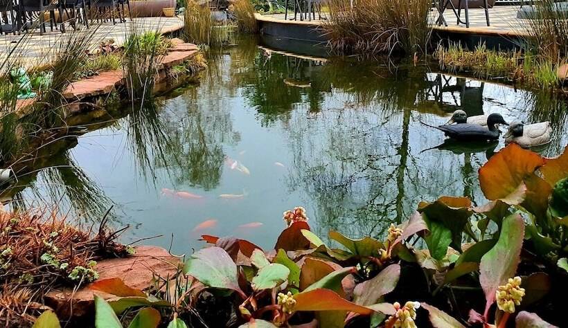 ホテル Hôtel Des Roches