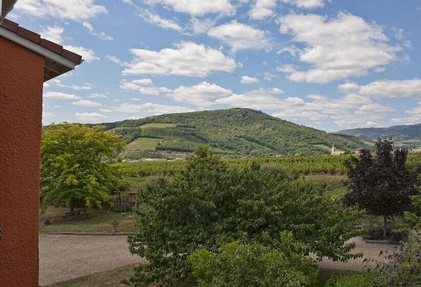 ホテル Hôtel Des Vignes