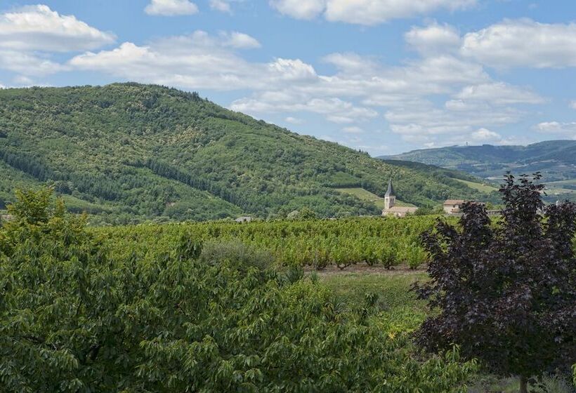 Отель Hôtel Des Vignes