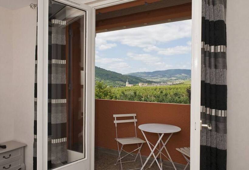 Отель Hôtel Des Vignes