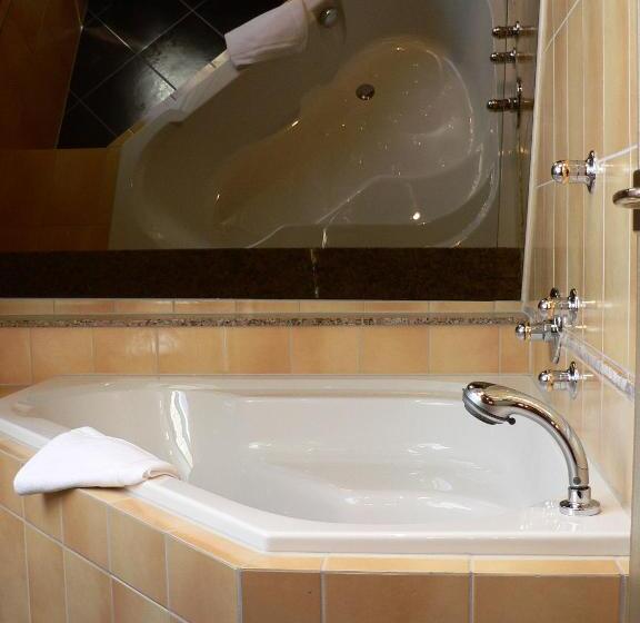 酒店 Hôtel Le Mittelwihr