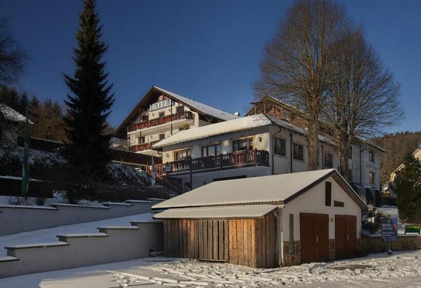 호텔 Jägerklause