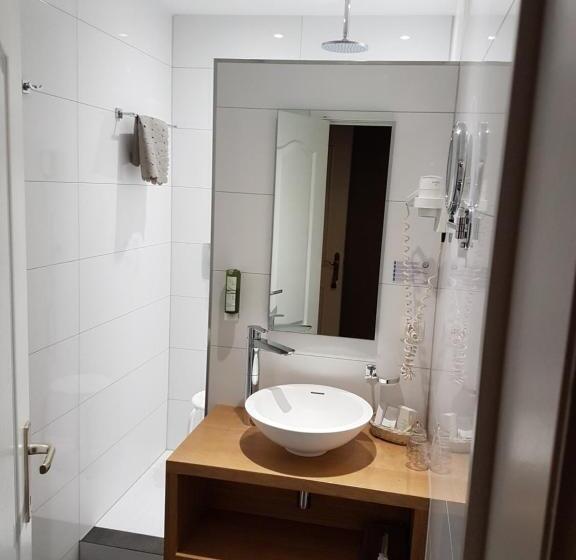 Отель La Ferronniere