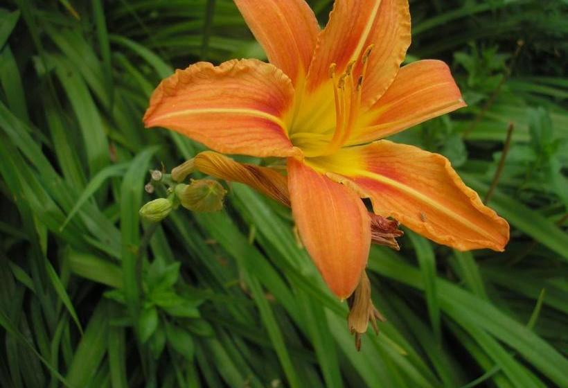 ホテル La Pastorale