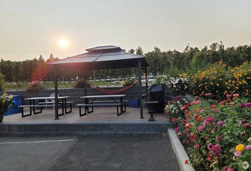 酒店 Lake Country Inn