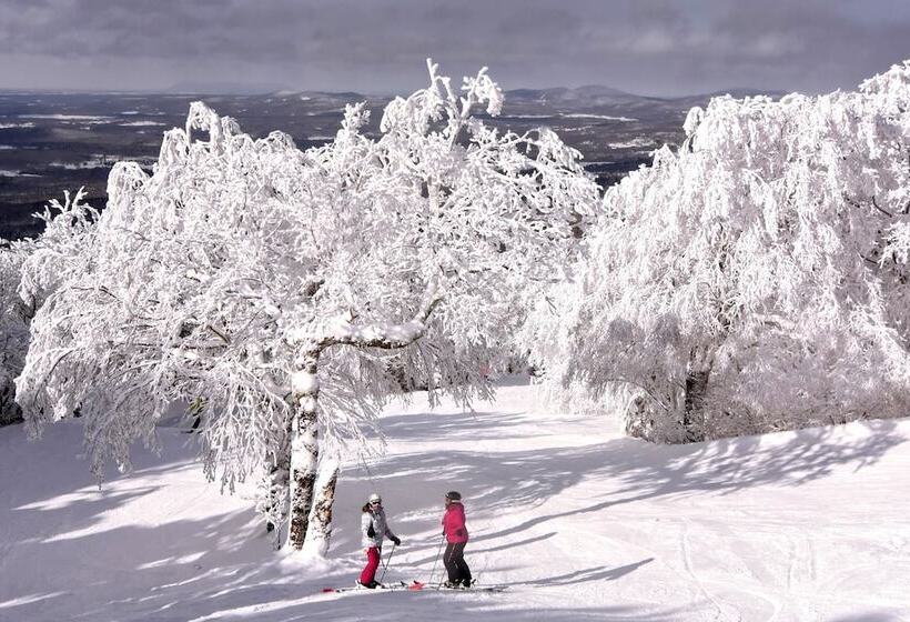 酒店 Le Montagnard – Auberge/hôtel & Chalets