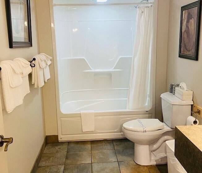 酒店 Le Montagnard – Auberge/hôtel & Chalets