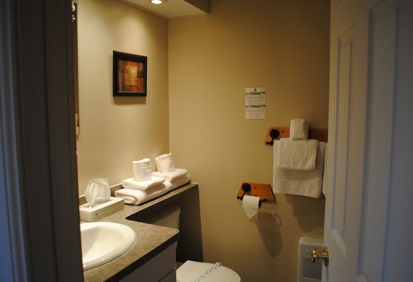 酒店 Le Montagnard – Auberge/hôtel & Chalets