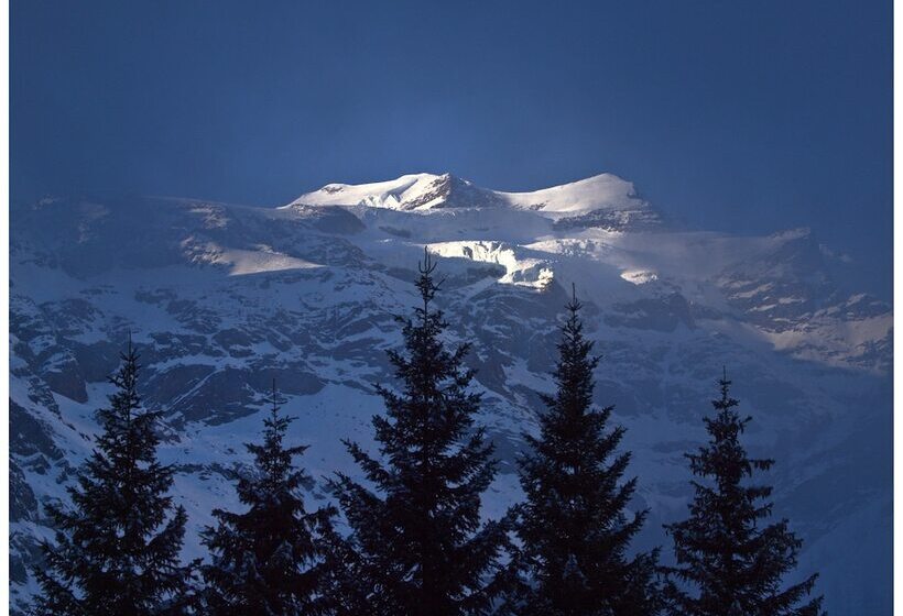 ホテル Le Petit Abri