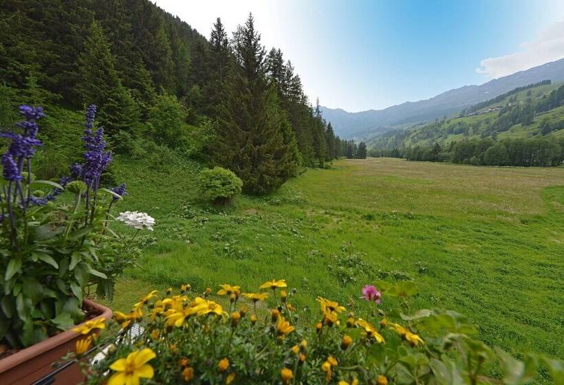 ホテル Le Petit Abri