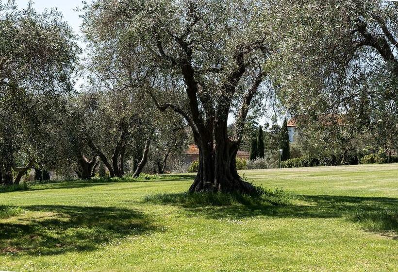 בית מלון כפרי Locanda Poggioleone