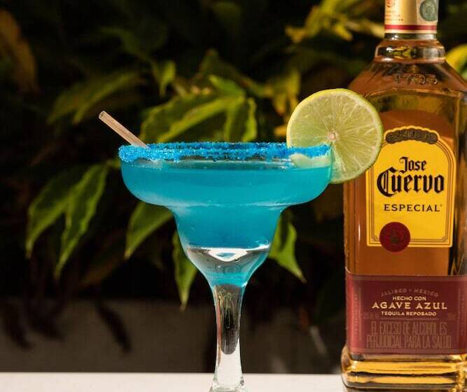 ホテル Manantial Melgar