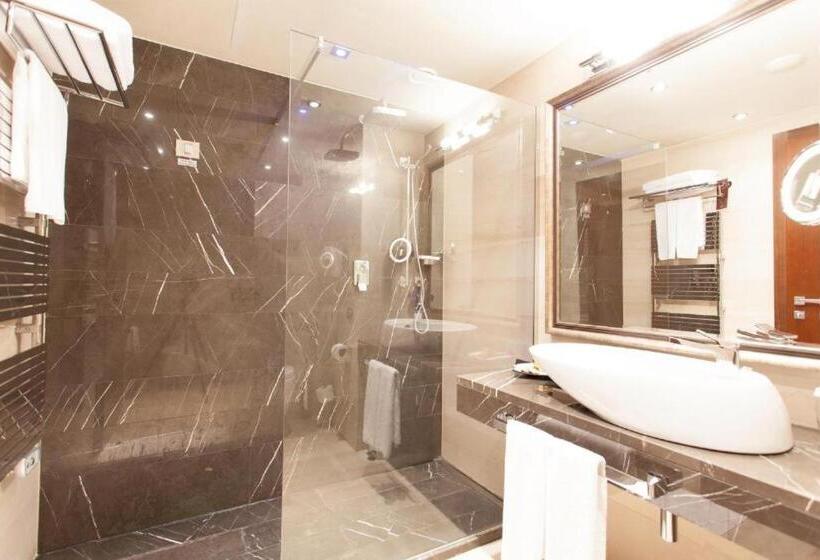 Отель Metropolis