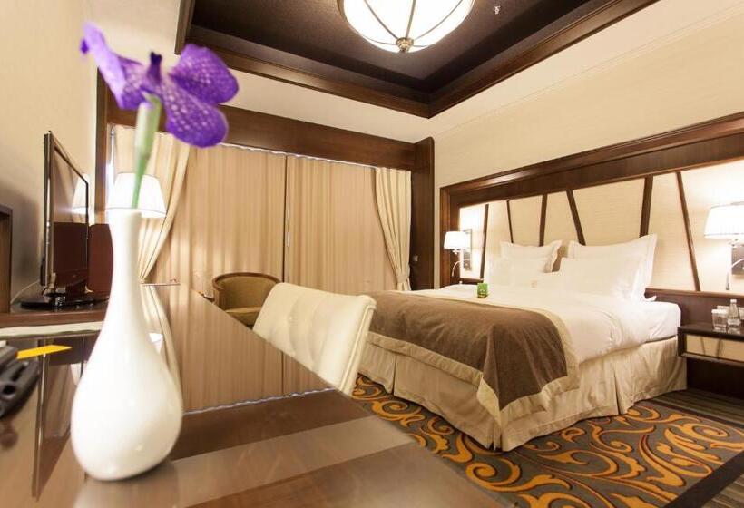 Отель Metropolis