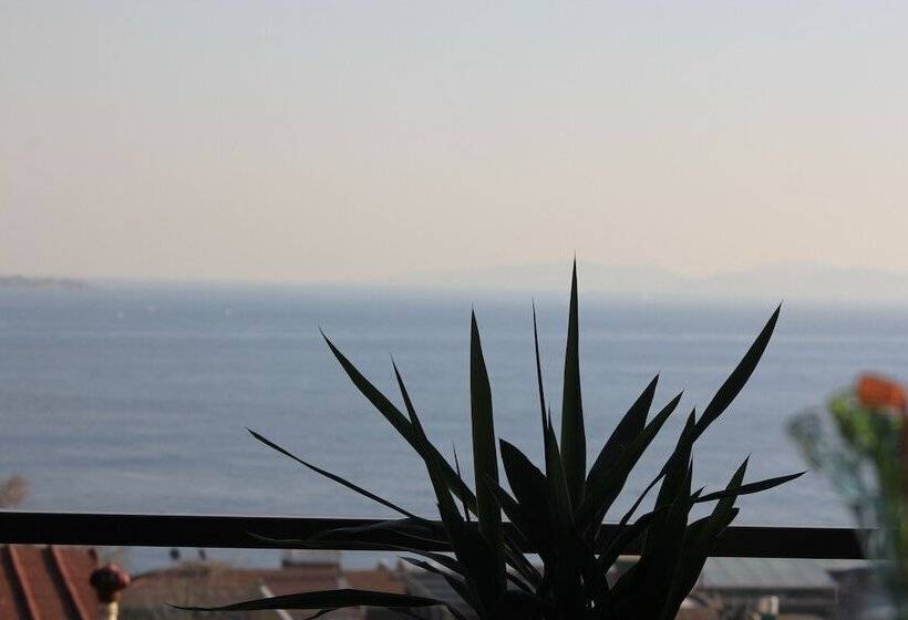 Nayla Palace Hotel Special Category