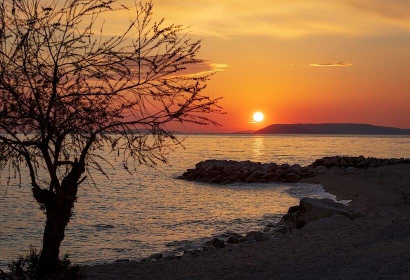 בית מלון כפרי Pansion Amigos