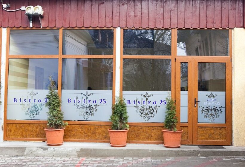 ホテル Pensiunea Vidalis