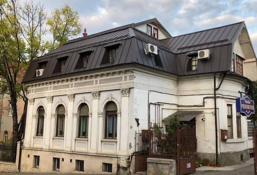 ホテル Pensiunea Vidalis