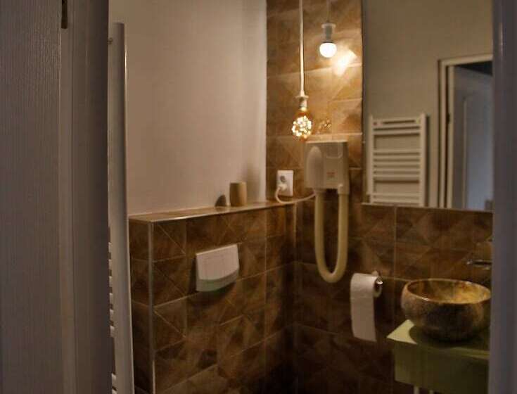 ホテル Pensiunea Vidalis