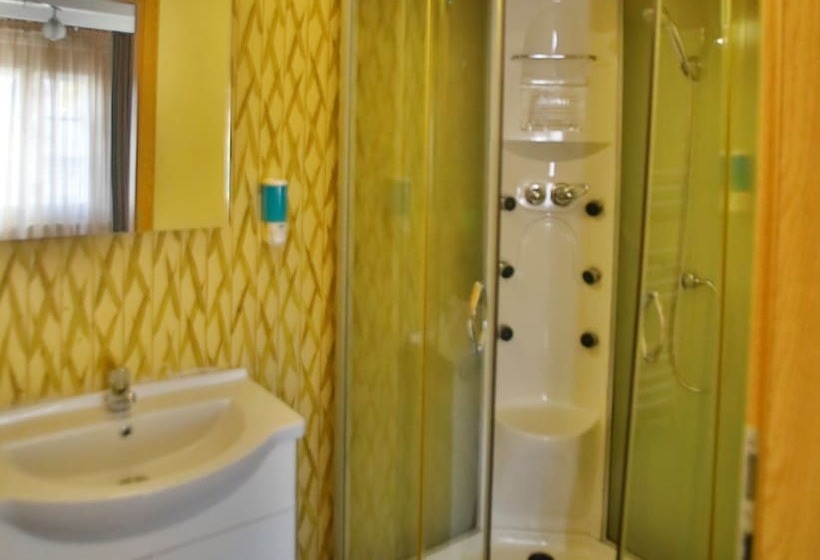 ホテル Pensiunea Vidalis