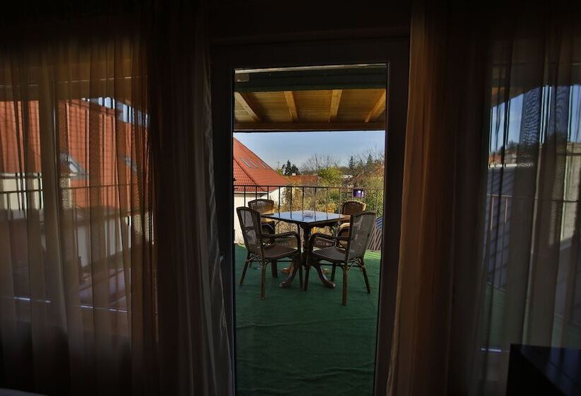 ホテル Pensiunea Vidalis