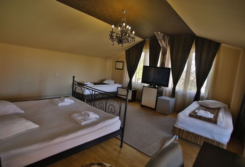 ホテル Pensiunea Vidalis