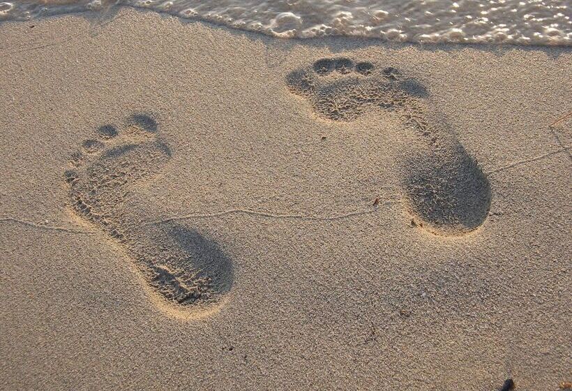 בית מלון כפרי Logis Hôtel & Restaurant Les Mouettes   Larmor Plage, Proche De Lorient