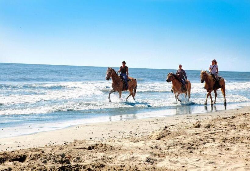 هتل Riva Del Sole Resort & Spa