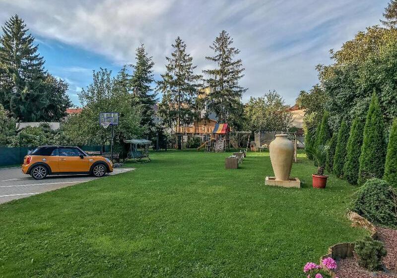 فندق Satu Mare City