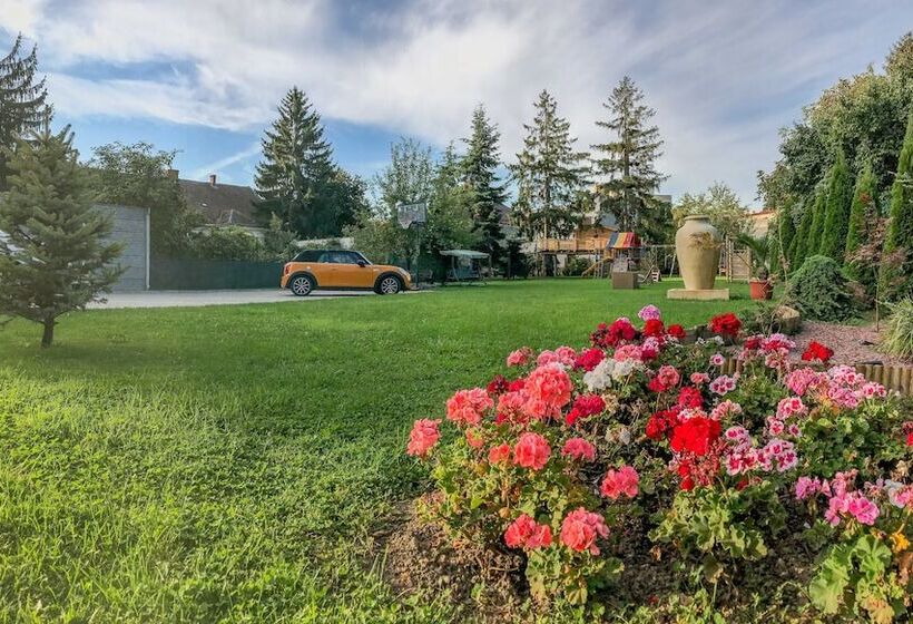 فندق Satu Mare City