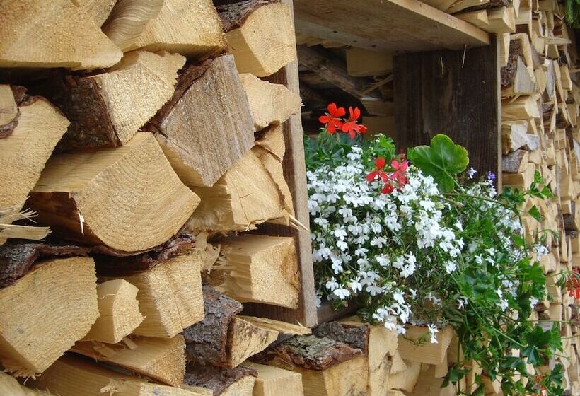 בית מלון כפרי Savoia Dal 1924