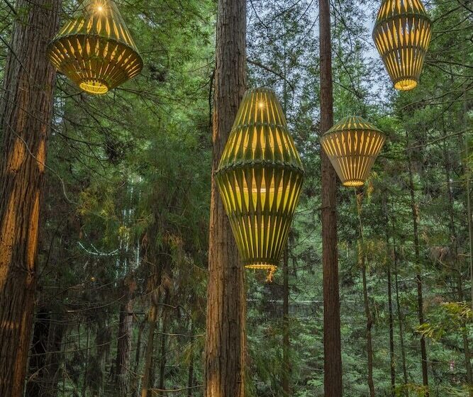 Отель Silver Fern Rotorua Suites & Spa