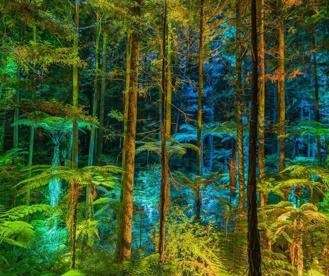 Отель Silver Fern Rotorua Suites & Spa