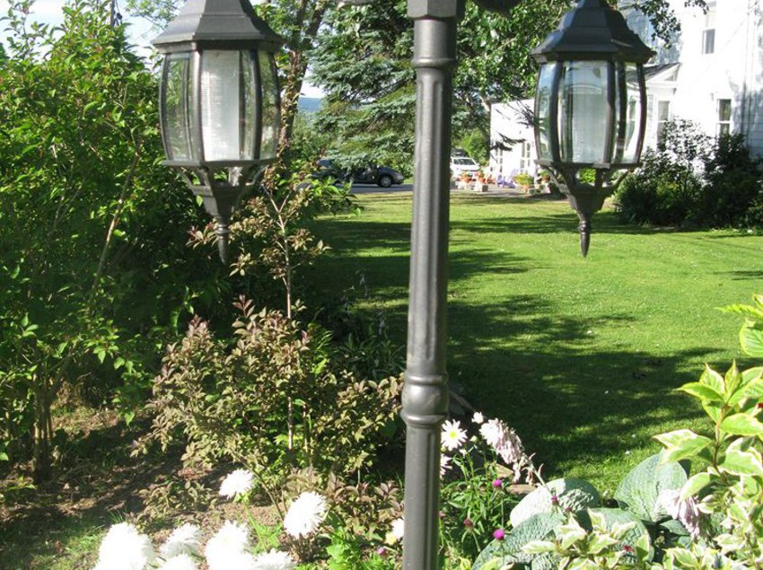 فندق The Dragonfly Inn