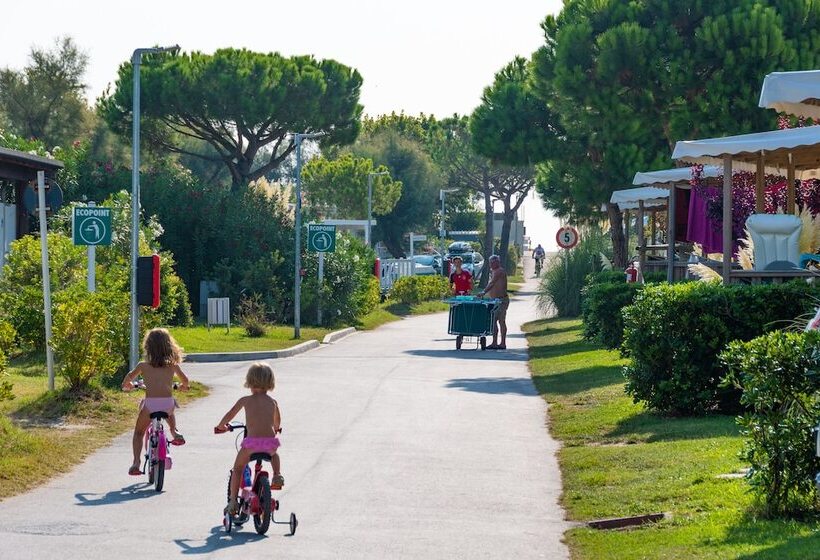 酒店 Club Del Sole Vigna Sul Mar Family Camping Village