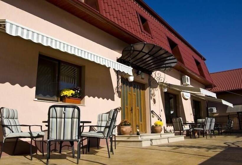 هتل Vila Toparceanu Otopeni