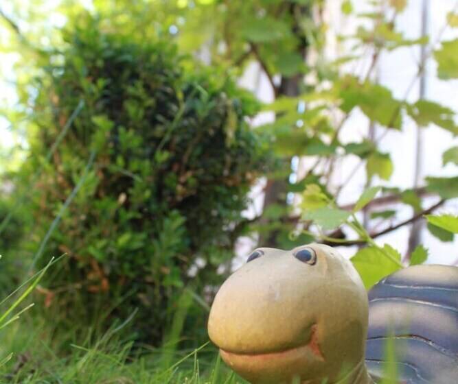 هتل Vila Toparceanu Otopeni