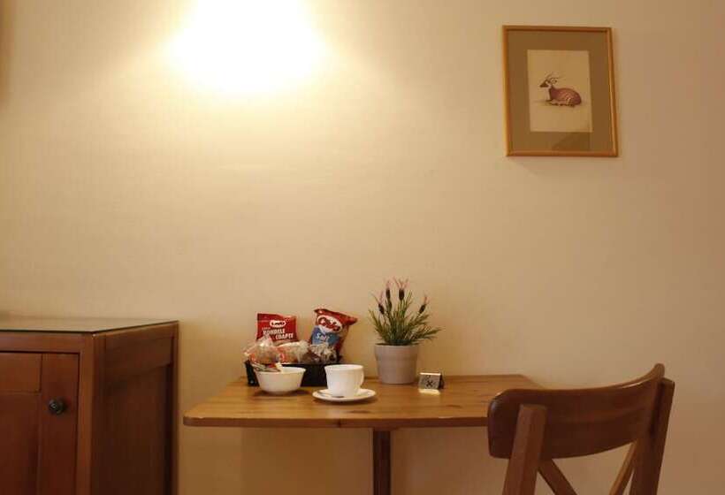 هتل Vila Toparceanu Otopeni