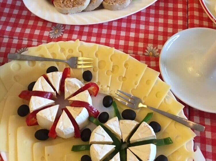 هتل Vila Toparceanu Otopeni