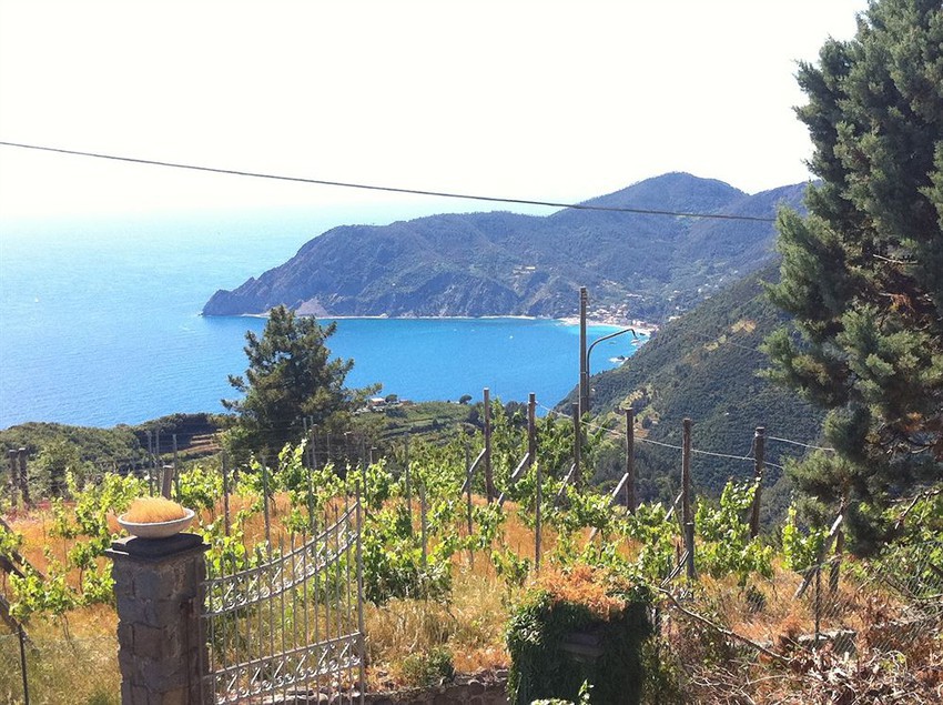 Villa Cinque Terre